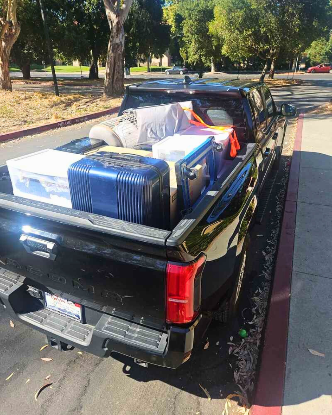 Back-to-school moving tips for a smooth dorm move in