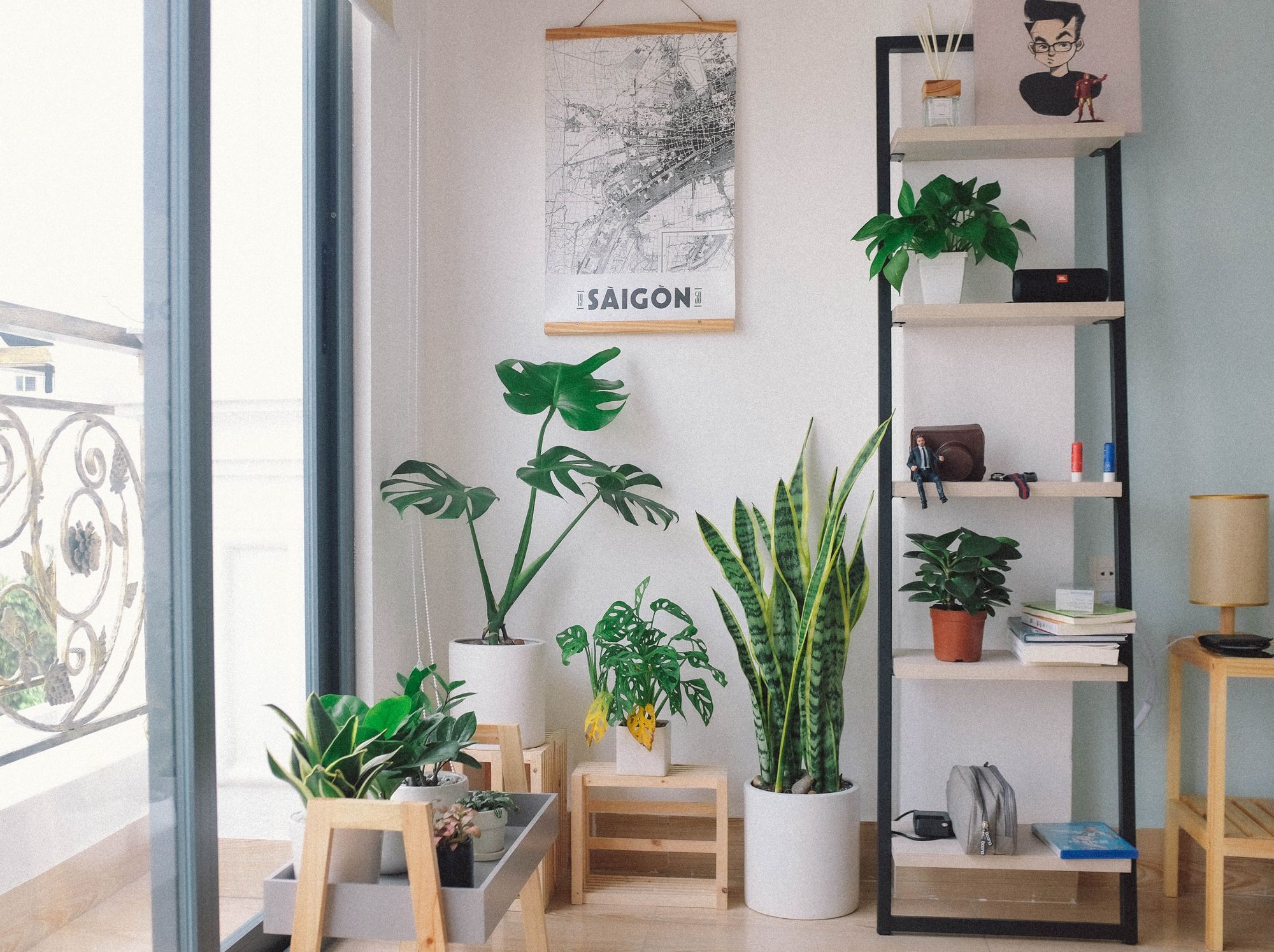 Spruce Up Your Space with Plants and Greenery